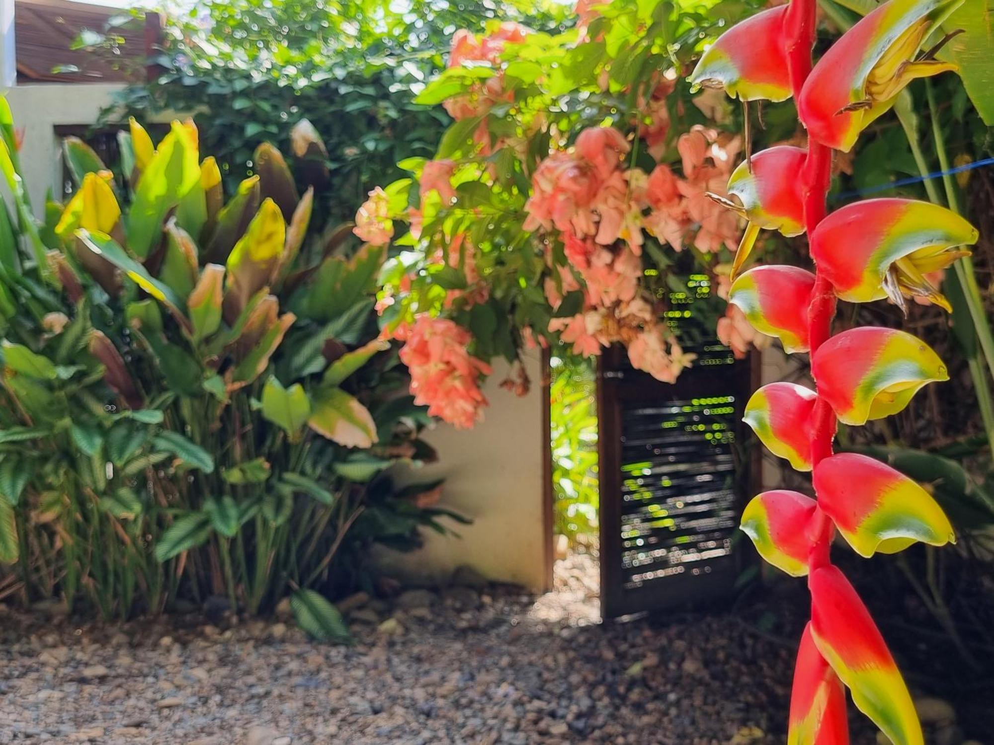 Casas La Floristeria Villa Palomino Buitenkant foto